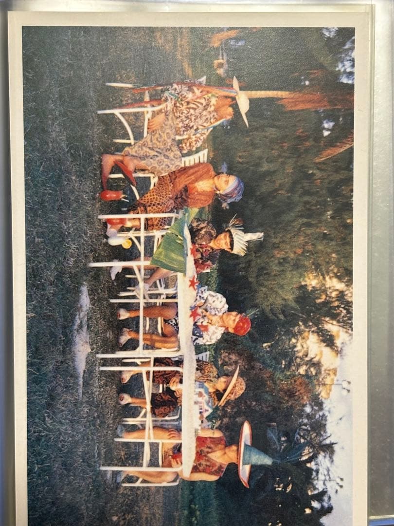 ダウンタウン　サイン色紙2枚　ファンクラブ限定カード21〜55