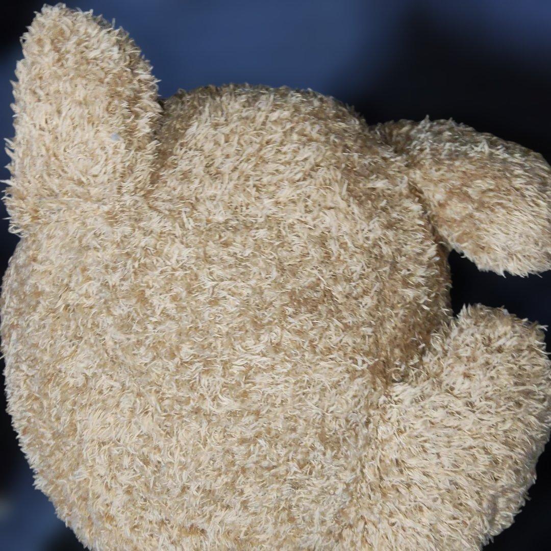 安立屋限定 特等 スタンダードプードル トイプードル 浅草 いぬくじ