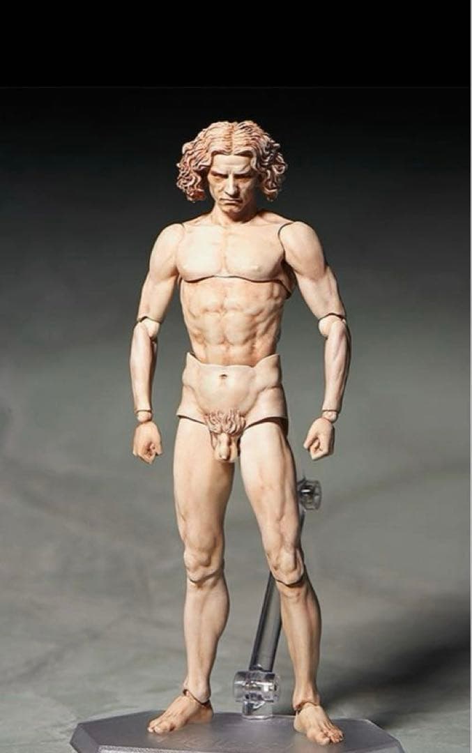 figma テーブル美術館 ダ・ヴィンチ 人体模型 スタンド付き 約30cm