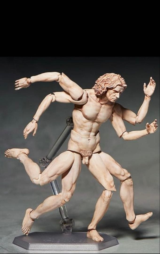 figma テーブル美術館 ダ・ヴィンチ 人体模型 スタンド付き 約30cm