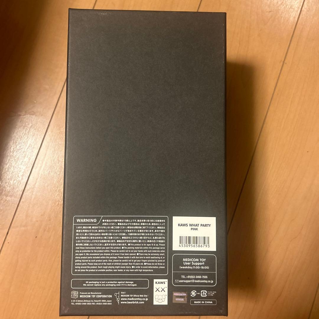 KAWS WHAT PARTY 真作　カウズ