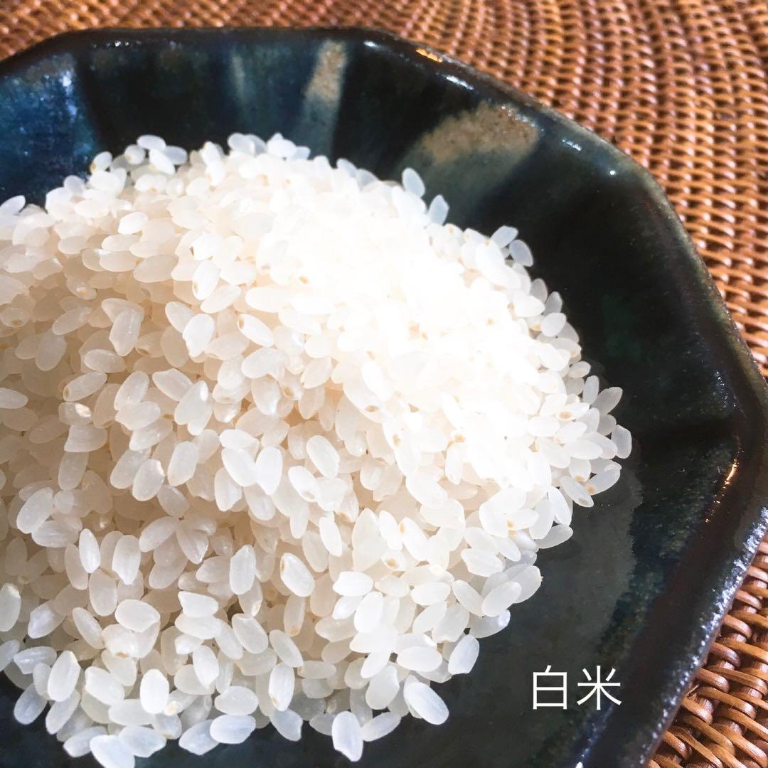 R7年産◎低農薬 【特別栽培米】あきたこまち 白米13kg(5kg×2+3kg)