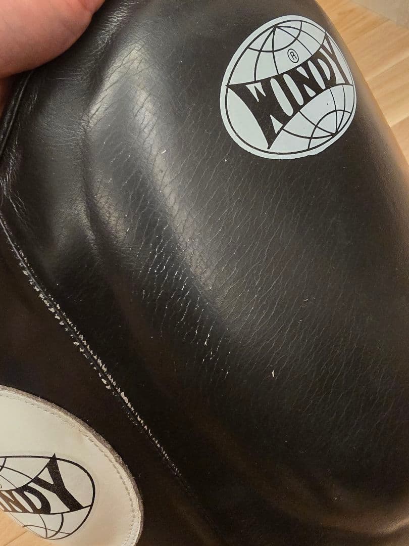 WINDY ボディープロテクター Mサイズ 黒