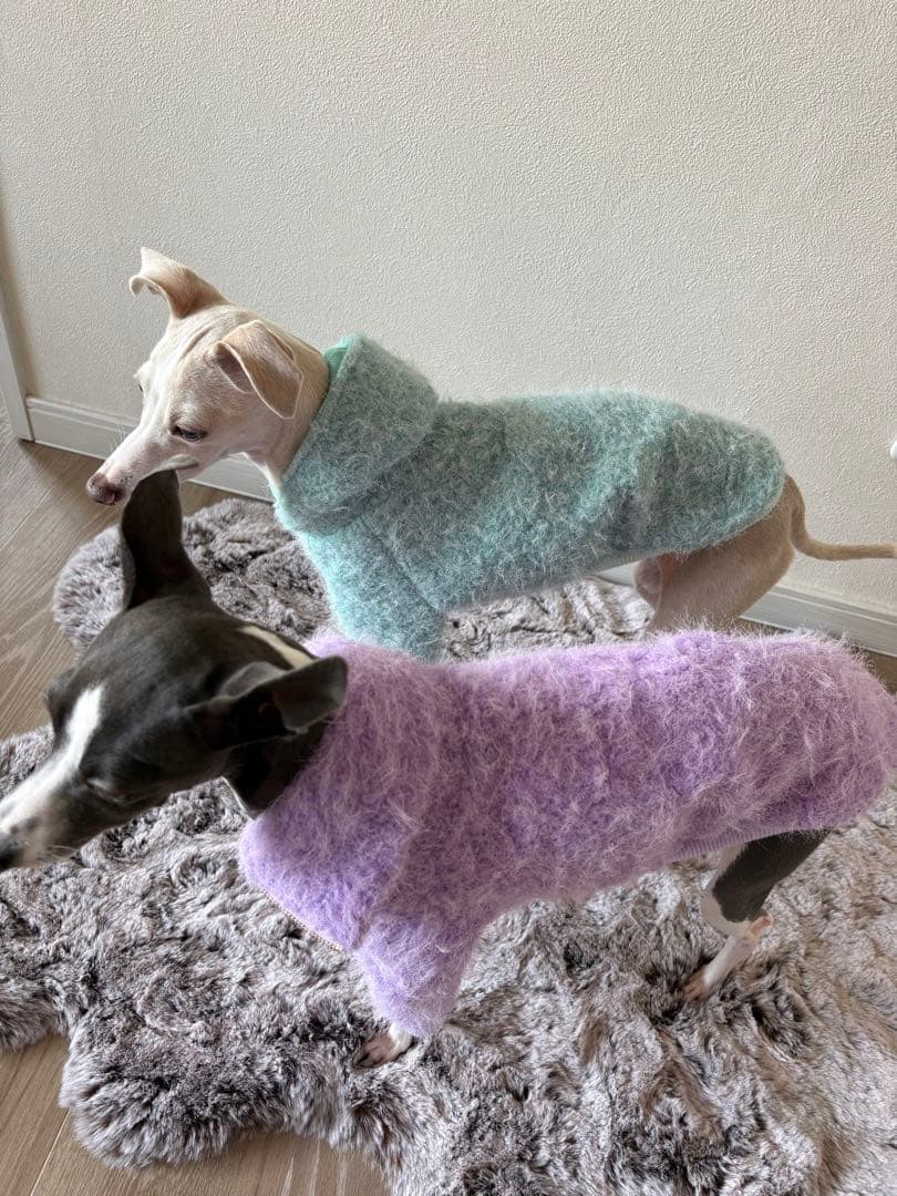 モヘヤニット　イタグレ服　ミニピン服　イタリアングレーハウンド