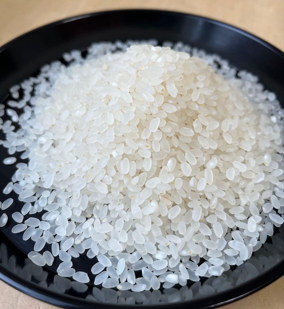 令和7年産 北海道米 ゆめぴりか 白米 10kg 送料無料 ブランド米