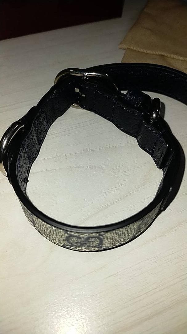 真英GUCCI グッチ　首輪　小型【箱付き】