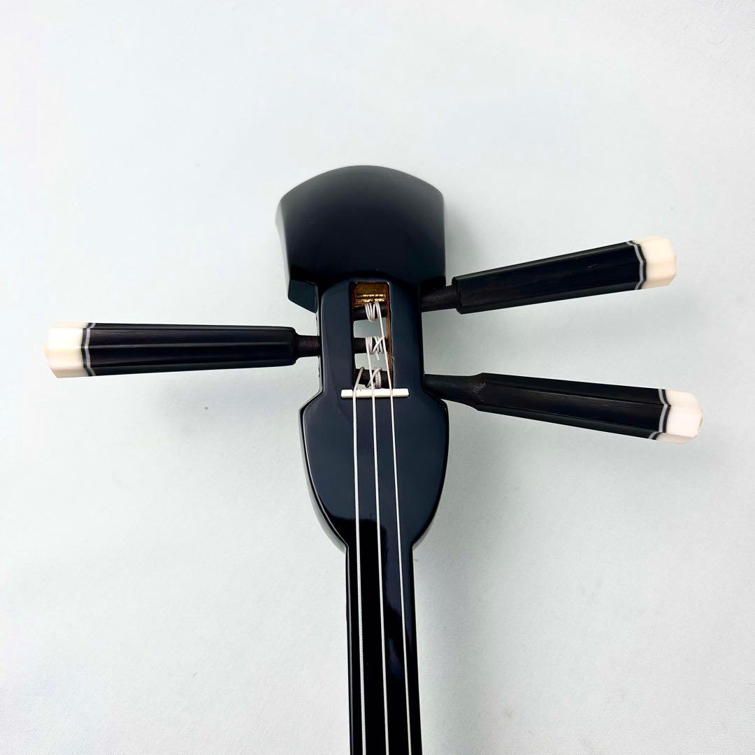 【美品】沖縄 三線 本革 蛇革 ハードケース付 付属品多数 初心者入門