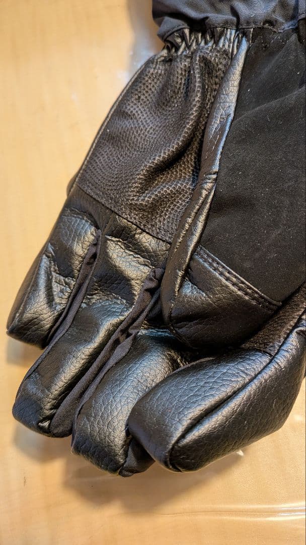 THE NORSH 　FACE(高性能 スキーグローブ)