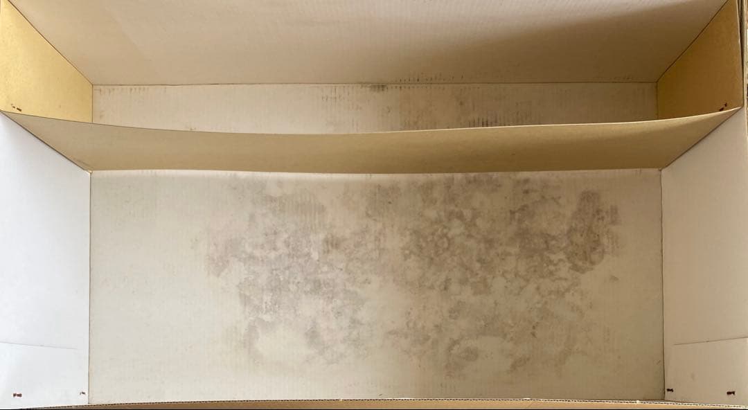 タミヤ　1/10 ピア　ナカジマ　レイナード　97D