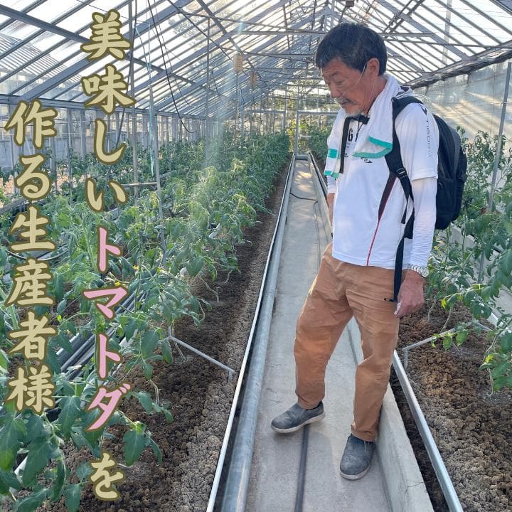 超高糖度　13〜15度　究極・トマトダ　2kg