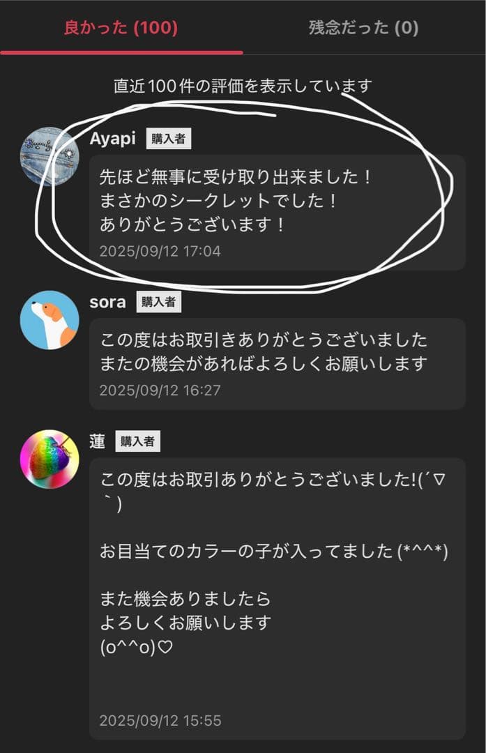 【正規品・未開封】ラブブ Labubu Big into Energy 2箱