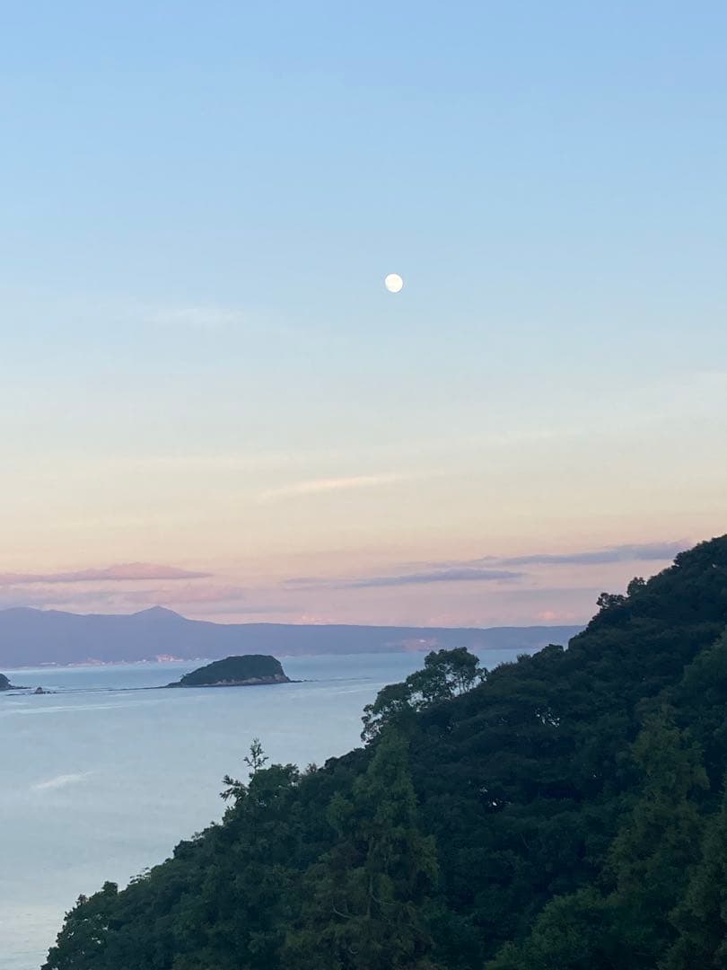 ニホンミツバチ　日本蜜蜂　夏蜜　1120g