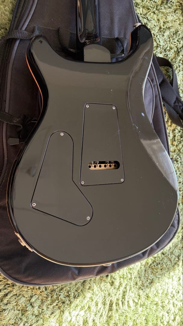 PRS Custom24 2011年モデル