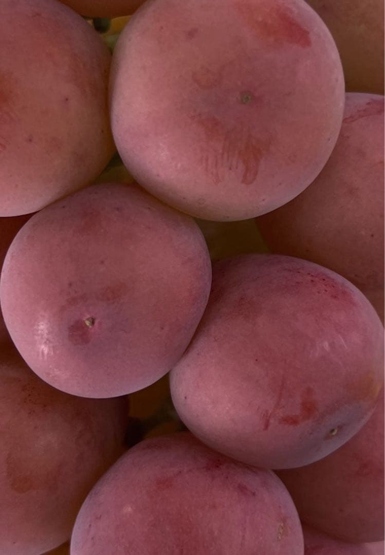 チョコさん専用