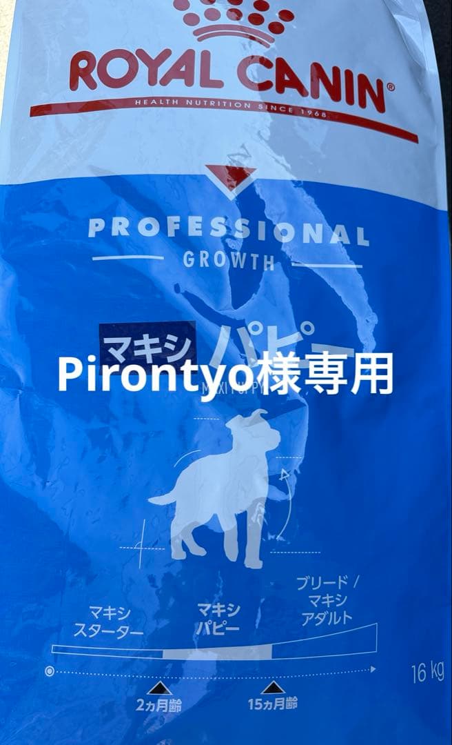  CANIN マキシ パピー 16kg ドライフード