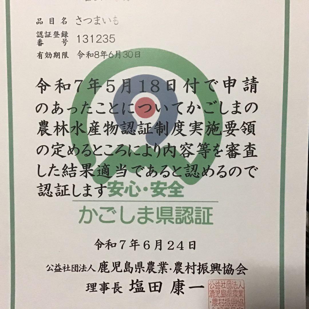 安納芋種子島産　Mサイズ20kgさつまいも 安納芋紅　#2021