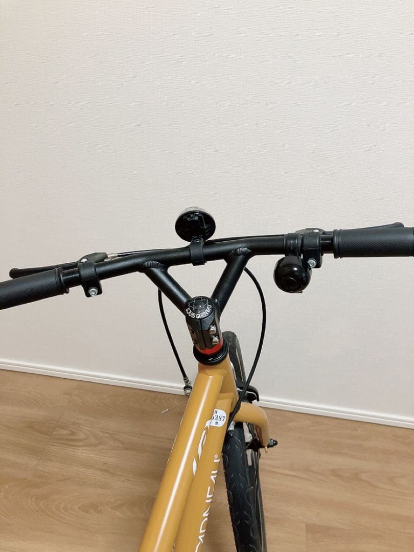 LOUIS GARNEAU 18インチ 子供用自転車　ルイガノ