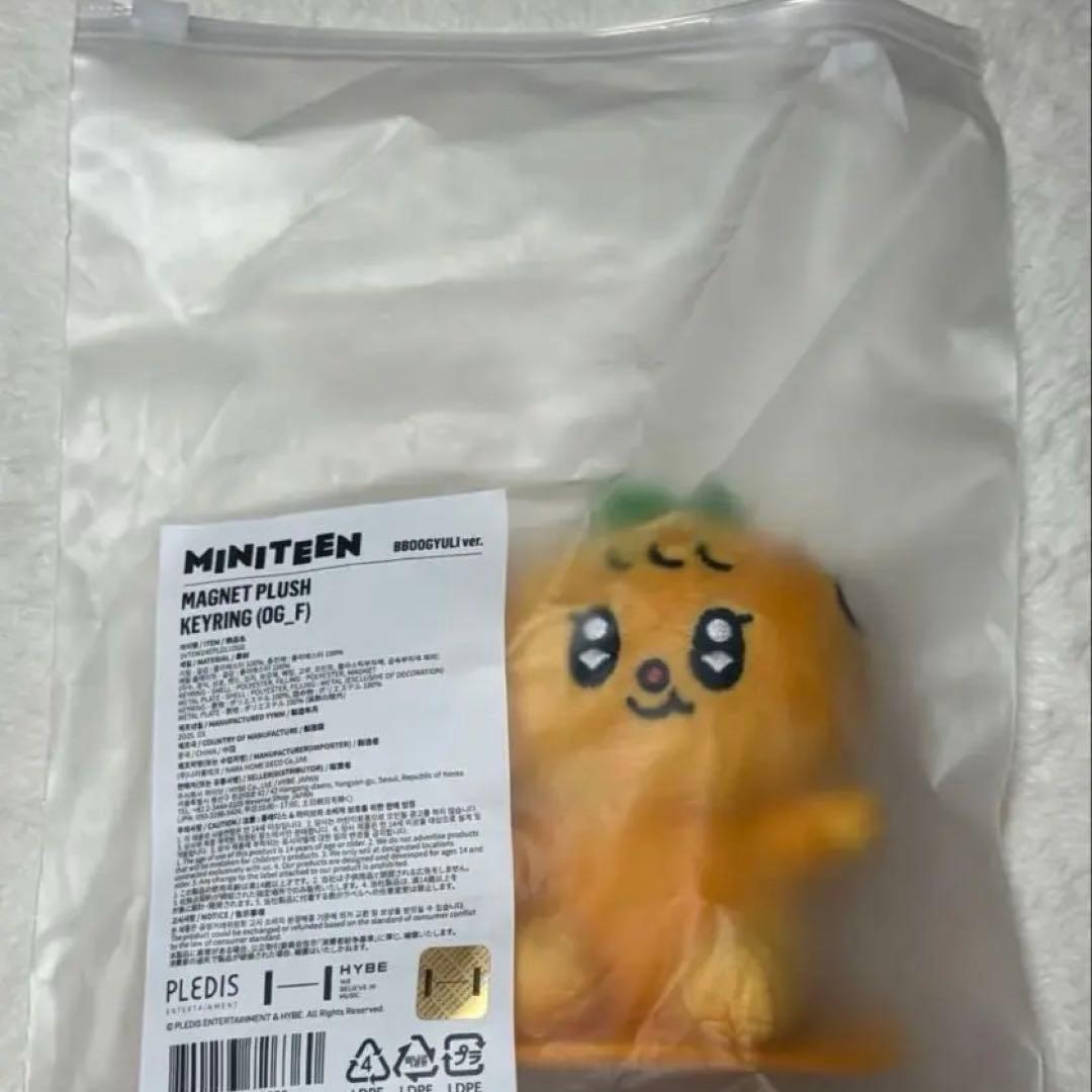 MINITEEN マグネット　ぬいぐるみ　キーホルダー プギュリ スングァン