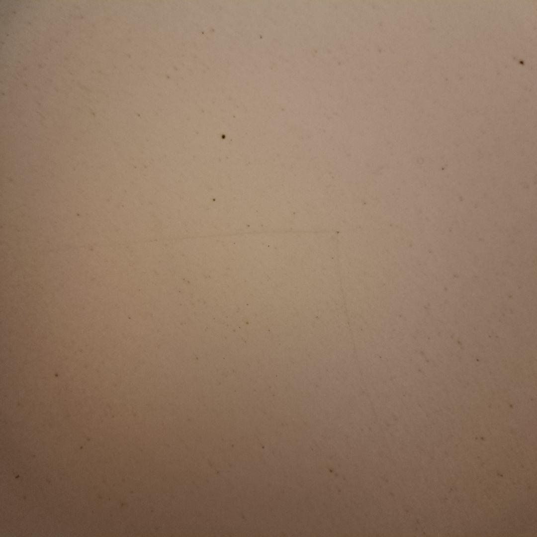 黒田泰蔵の白い白磁の穴あき鉢