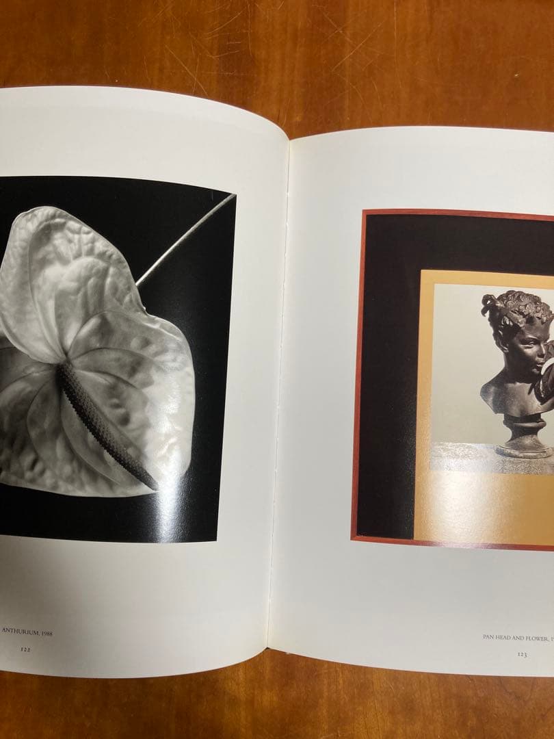 【PISTILS】Robert Mapplethorpeロバート・メイプルソープ