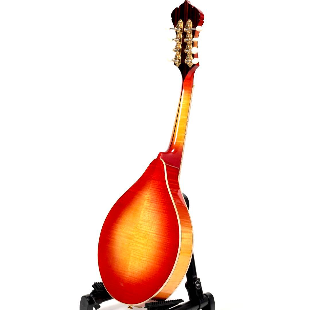 HATTA Woks HM-F4-200 フラットマンドリン