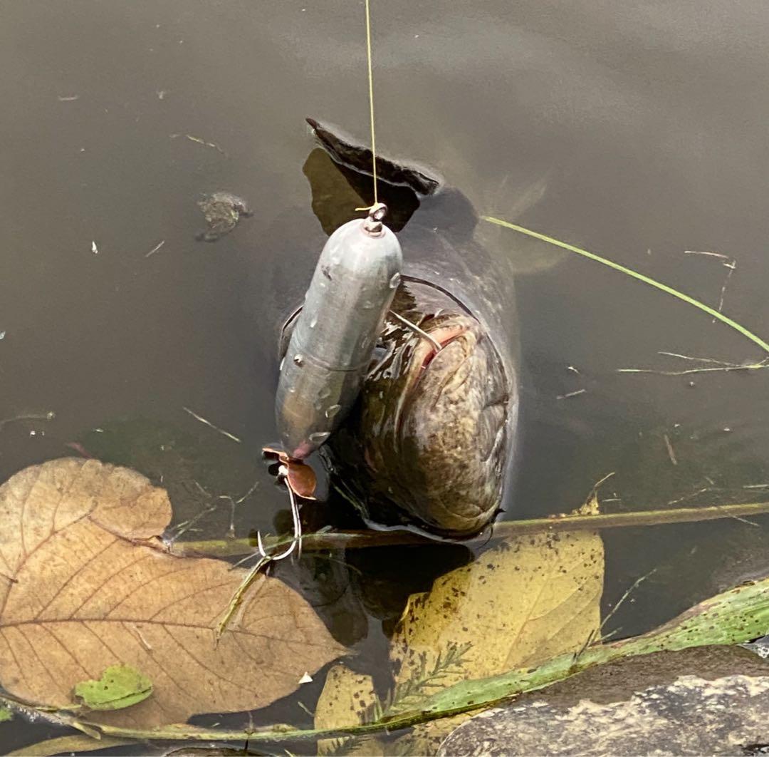 トーピードアルミ　ヘラ絞り加工　シェクスピア　グッドモーニングインベーダー