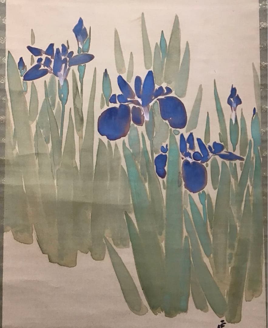 K茶道具　掛軸　杜若(かきつばた)　小寺雲洞作(明治ー昭和)共箱　S1014KJ