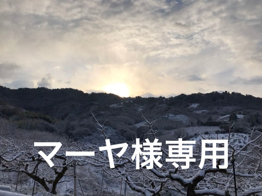 マーヤ　和田果樹園の果物　10kg