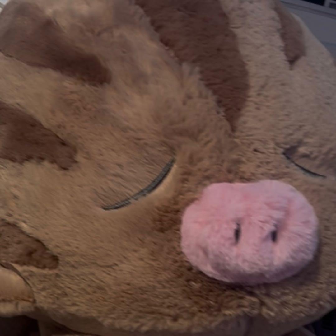 ふわふわ抱きぬいぐるみ アローラロコン　ウリムー　ゴンベ　ニャスパー　②