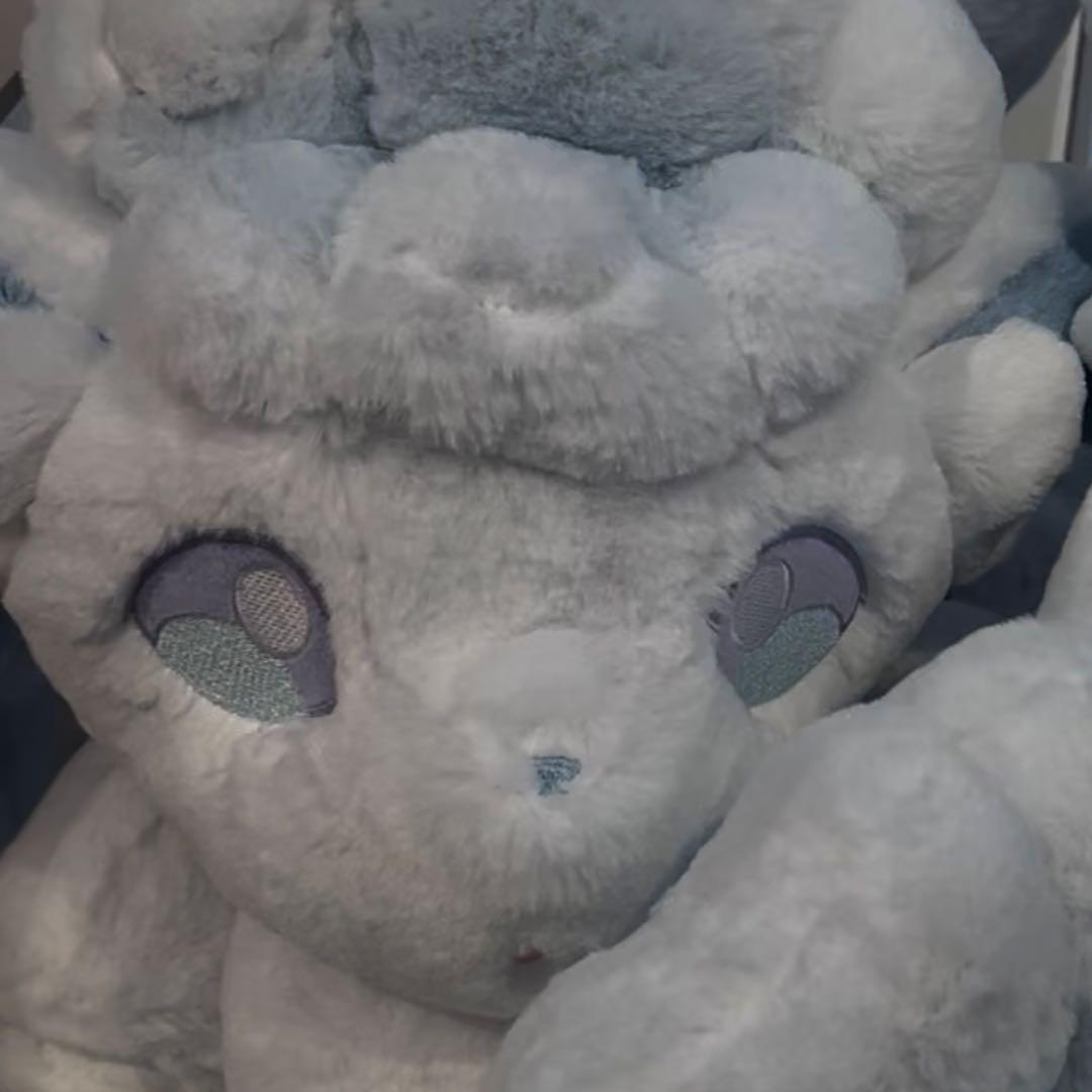 ふわふわ抱きぬいぐるみ アローラロコン　ウリムー　ゴンベ　ニャスパー　②