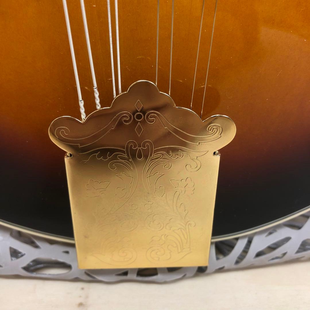 PLAY TECH プレイテック F型 マンドリン ハードケース付き