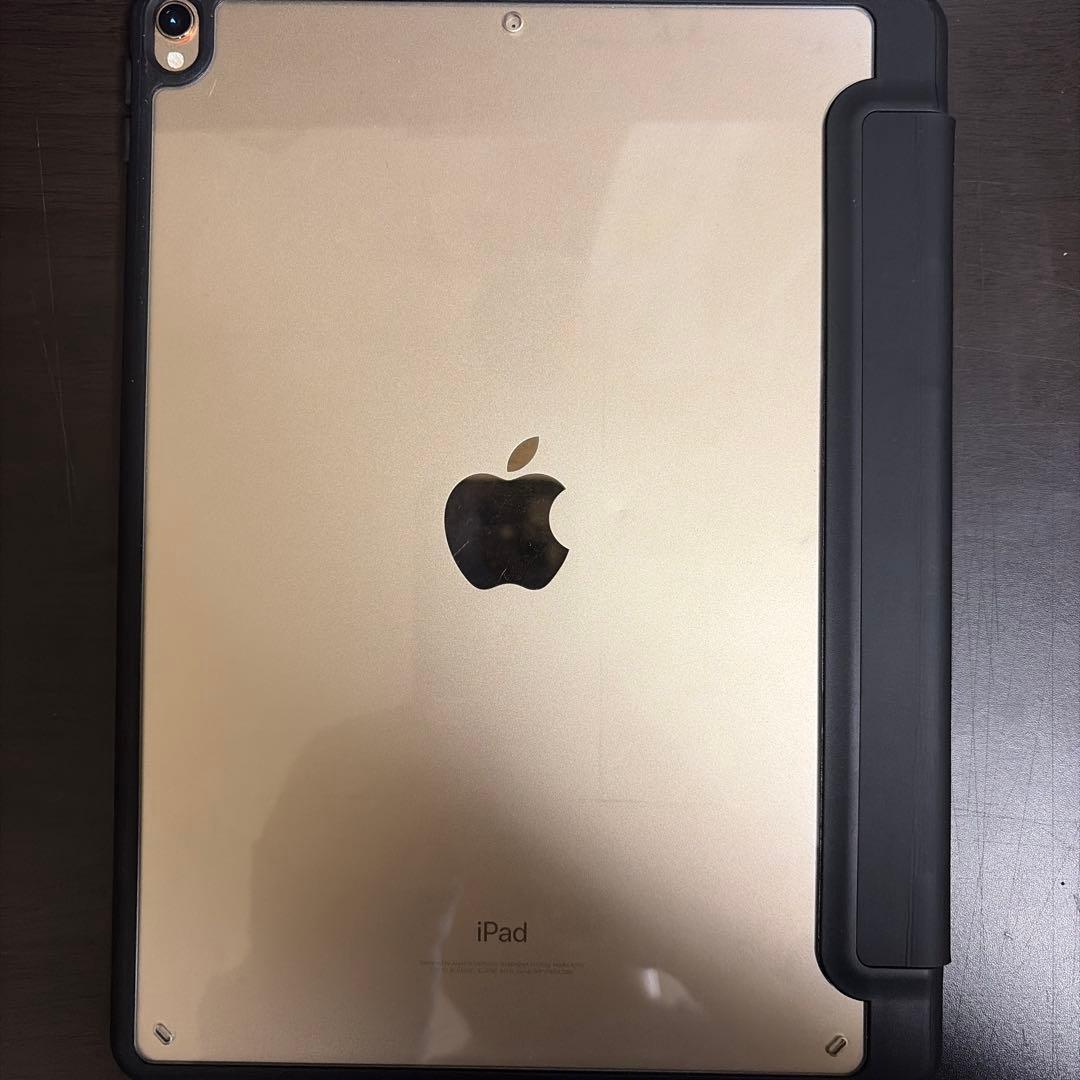 ゴールド iPad Pro