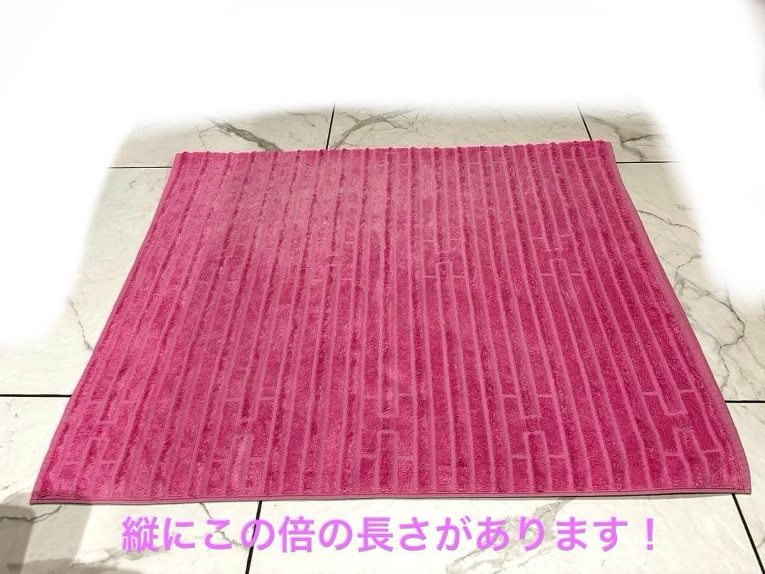 【希少•レア】 HERMES 超大判！　カレ　タオル　ビーチタオル　ステアーズ