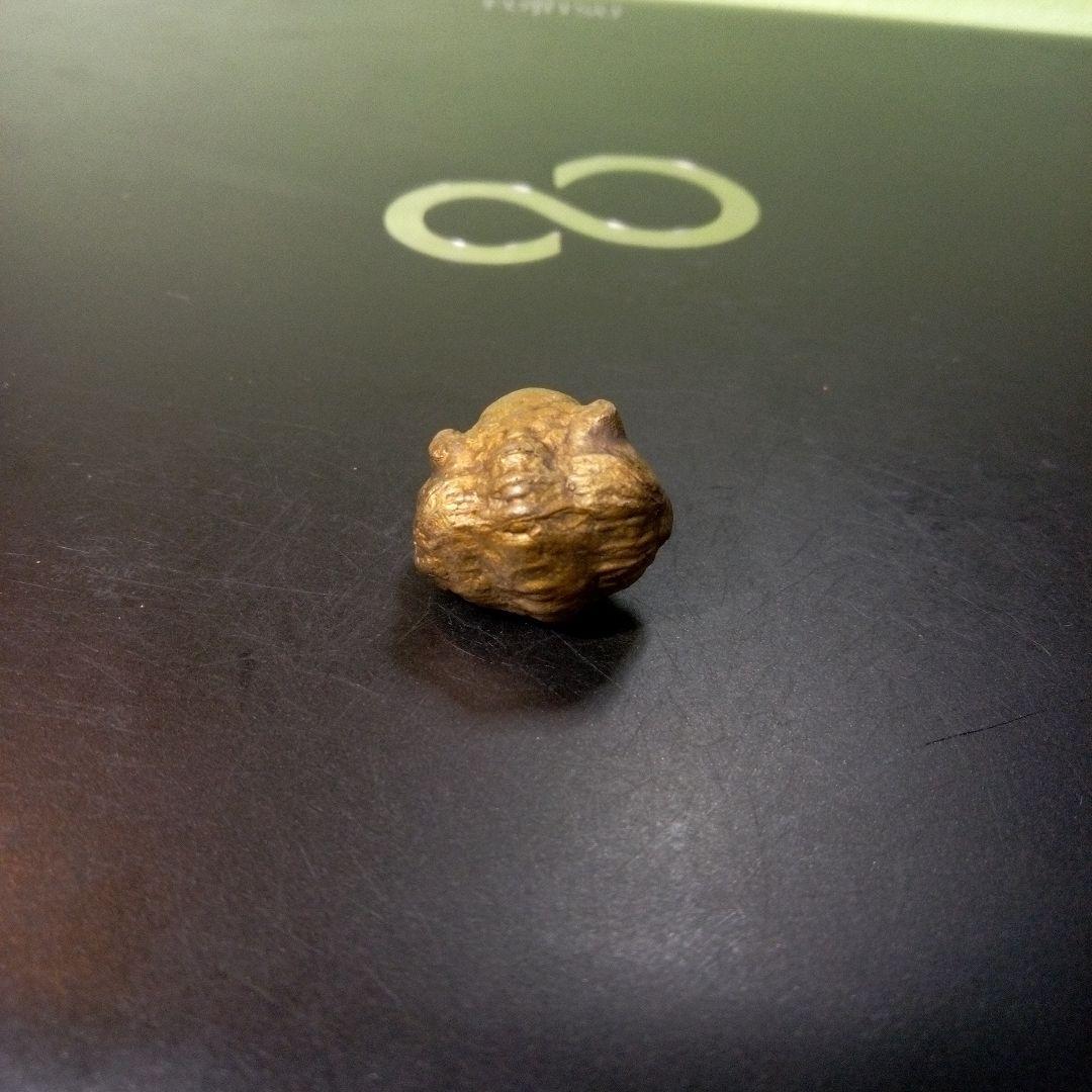 三葉虫　化石　fossil　ボリビア産　レア　Fossil管理⑥