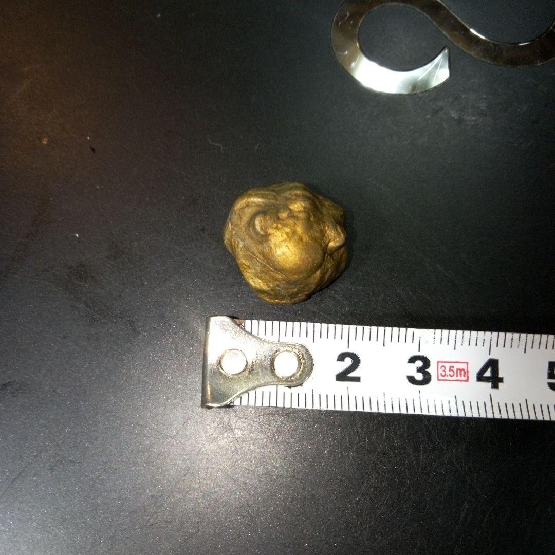 三葉虫　化石　fossil　ボリビア産　レア　Fossil管理⑥