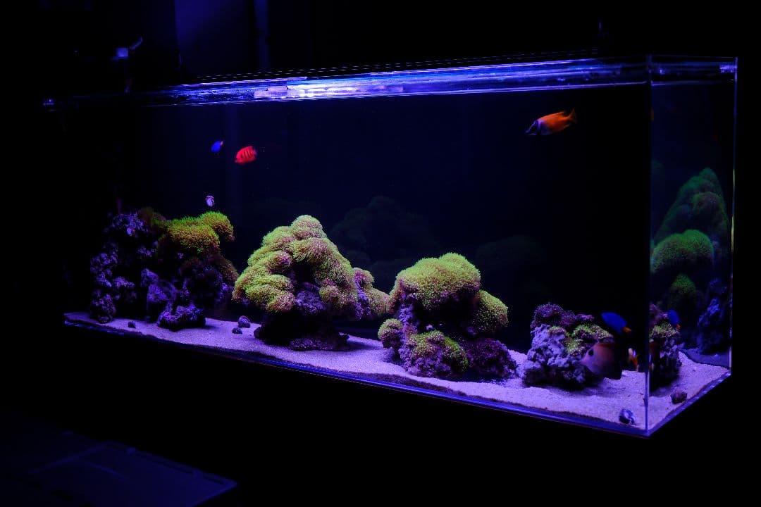 ステージア　ウッドキャビ　 1200　アクリル水槽　セット　キャビネット