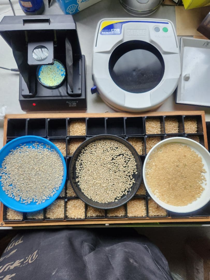 令和5年産米福島県コシヒカリ精米正味26㎏前後