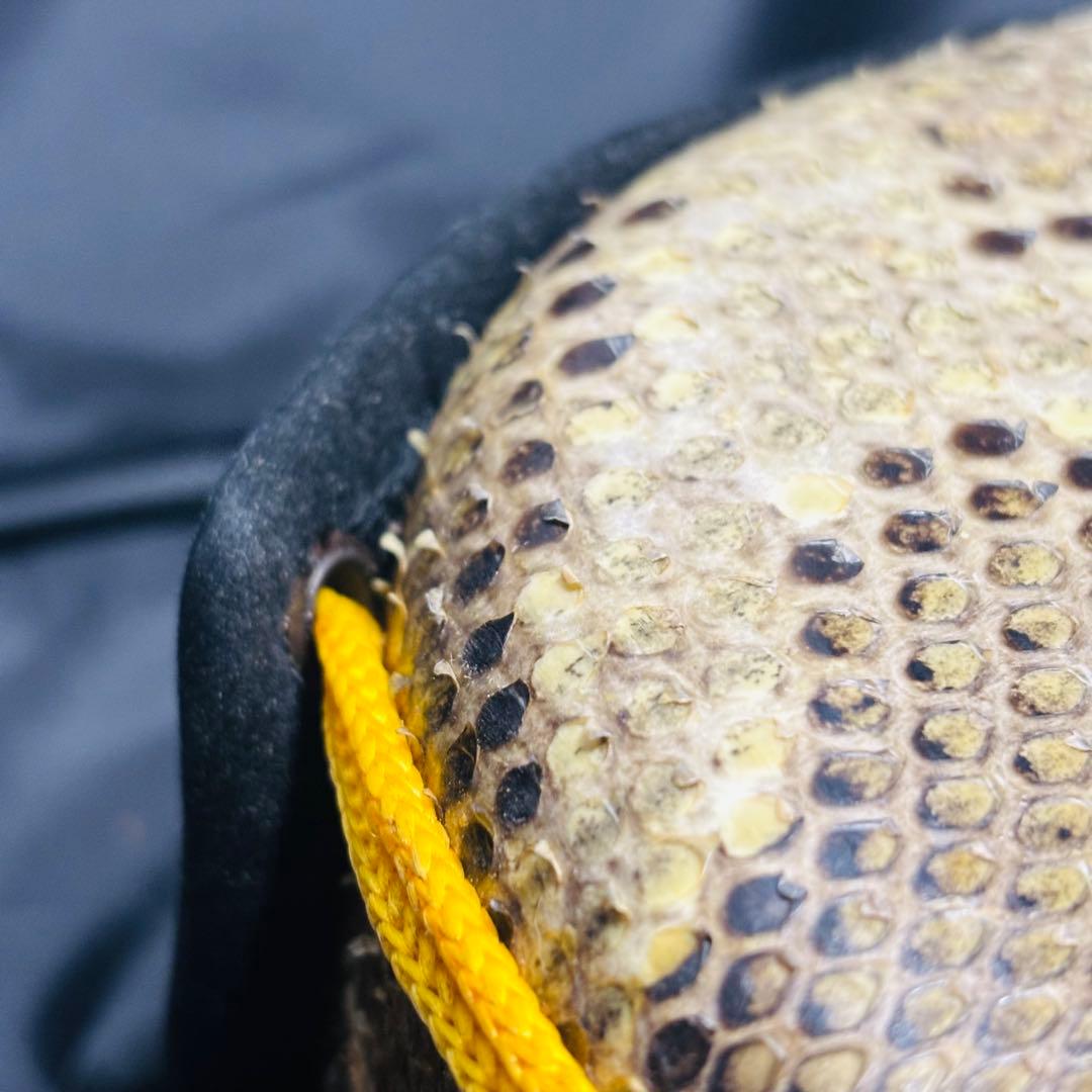 【美品】沖縄 三線 本蛇皮 三味線 ケース付き 初心者 入門