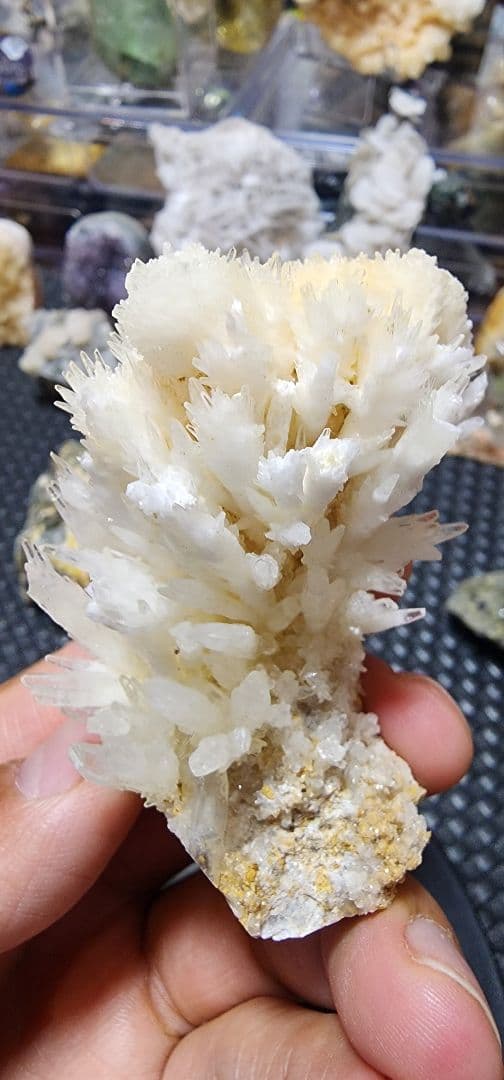 白いアラゴナイトの花