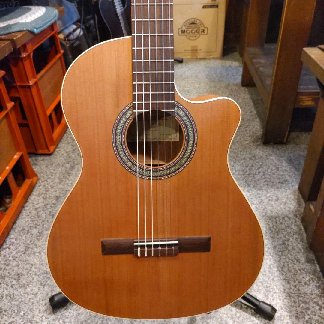 Alhambra Z-Nature CW EZ エレガット (管理カキ)