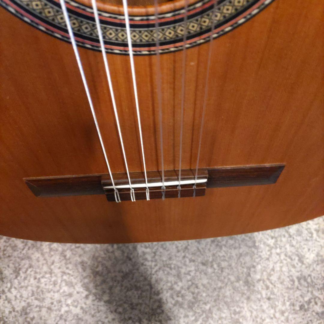 Alhambra Z-Nature CW EZ エレガット (管理カキ)