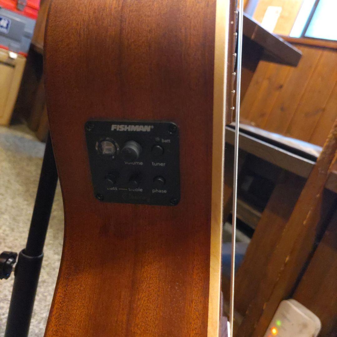 Alhambra Z-Nature CW EZ エレガット (管理カキ)