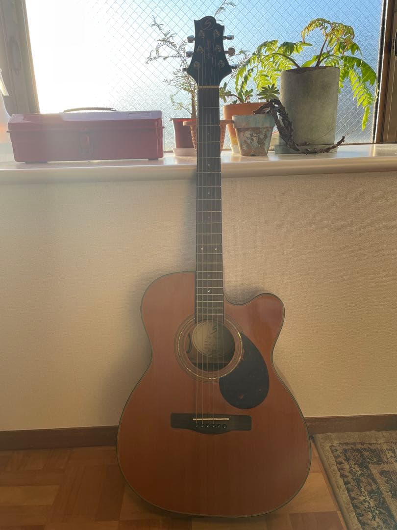 【専用ケース付き】Greg Bennett OM-13CE