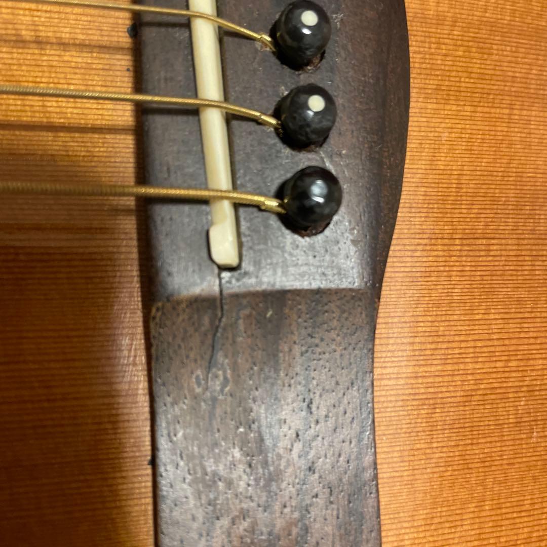 【専用ケース付き】Greg Bennett OM-13CE