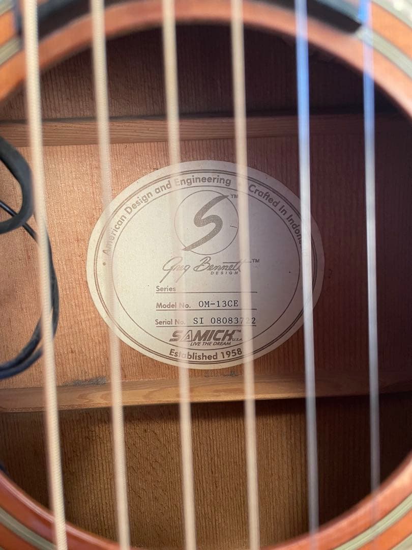 【専用ケース付き】Greg Bennett OM-13CE