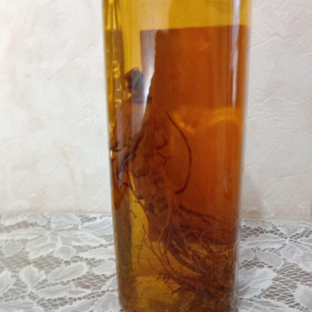 (希少品)ヘルオス酒造 6年根ハブ酒 高麗人参入り 720ml ラベル美品古酒