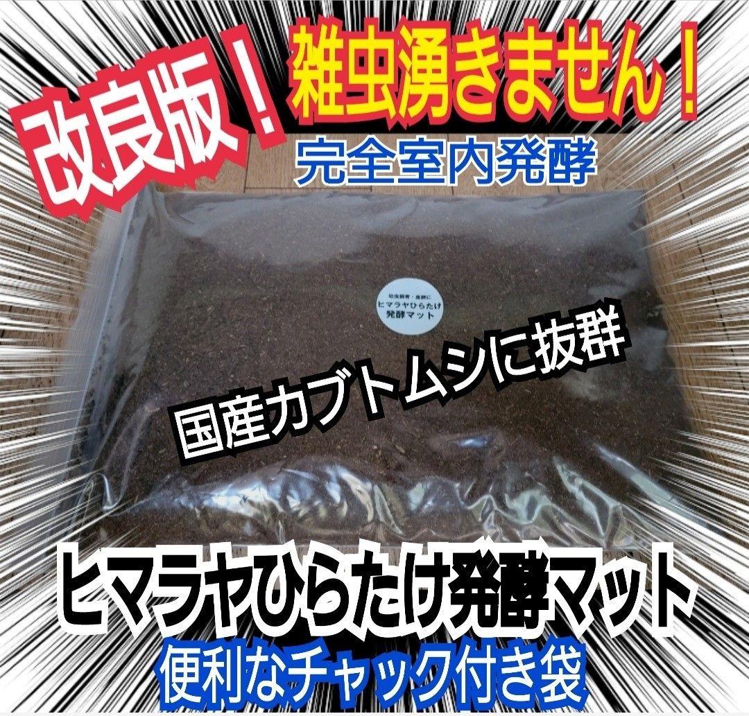 カブトムシ幼虫に抜群！ヒマラヤひらたけ発酵マット【6袋セット】大きく育ちます！