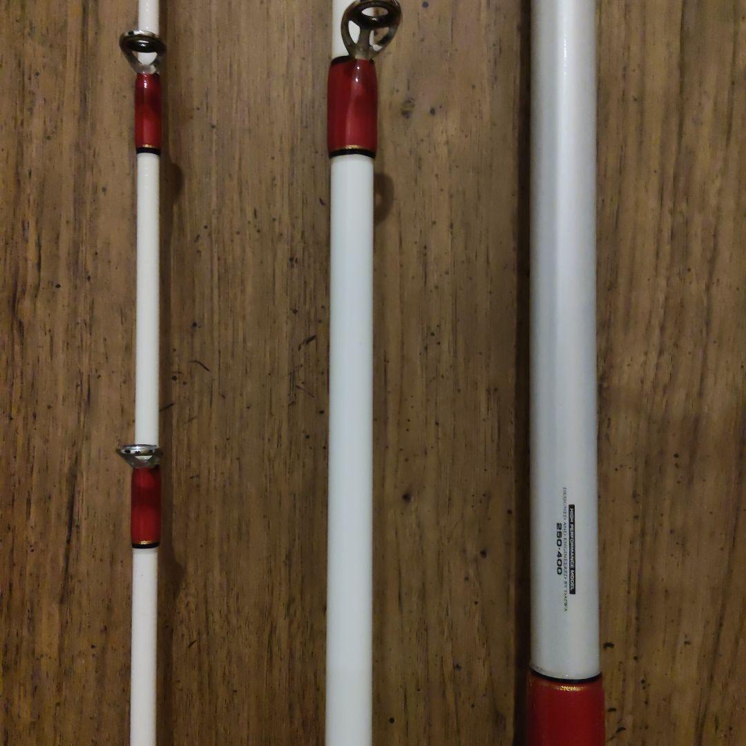 ダイワ　ディープゾーン　250-400