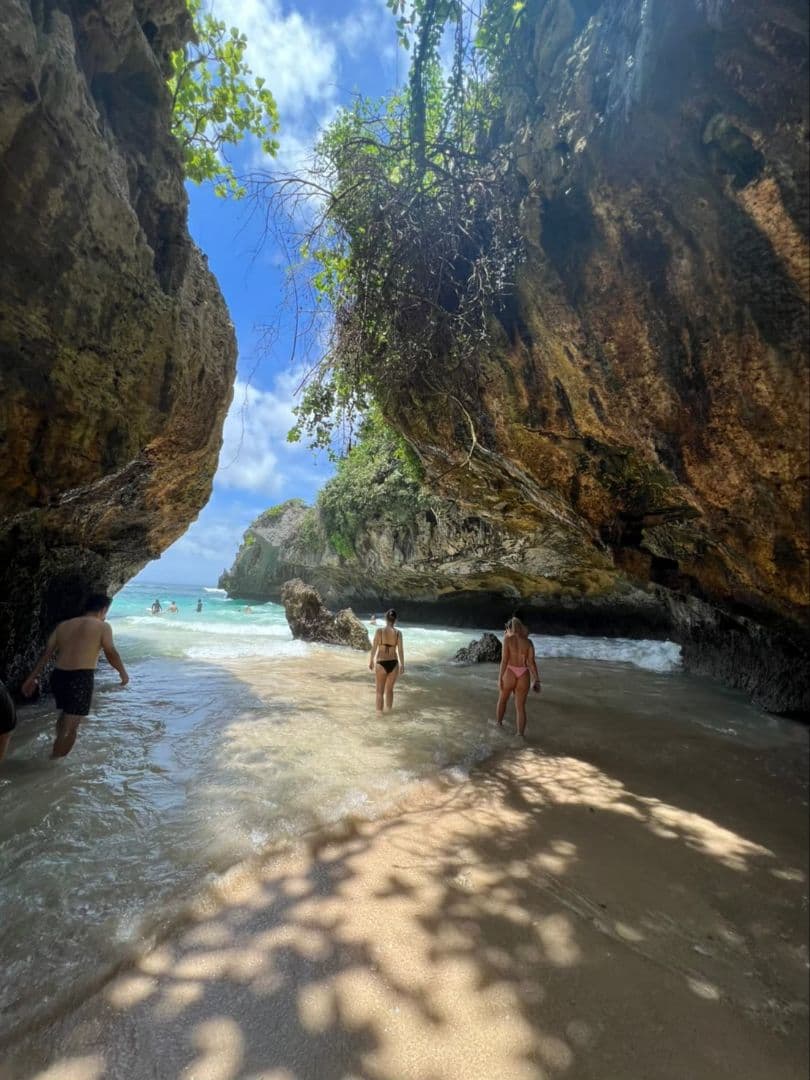 御礼【7個セット】特別販売　バニラペースト100gブルボン種　楓や