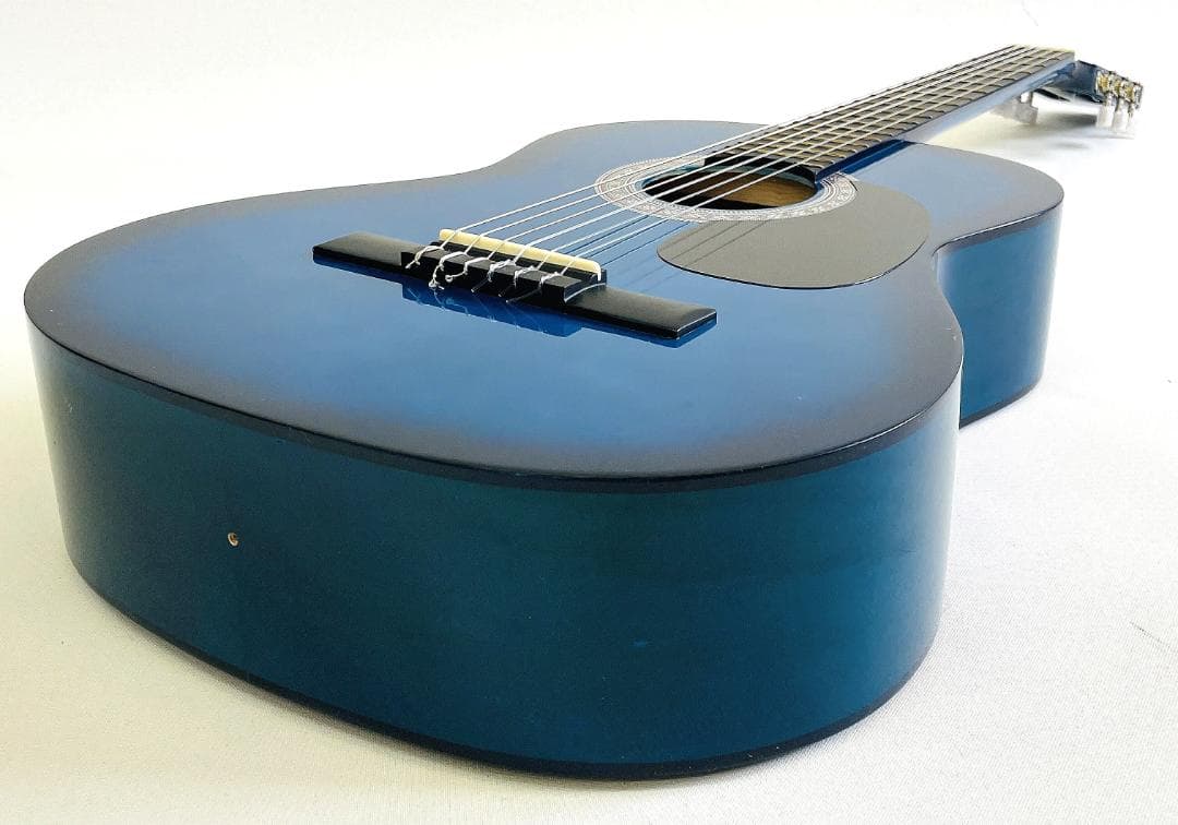 レア Freedom MAG945/BLS アコースティックギター【整備品】